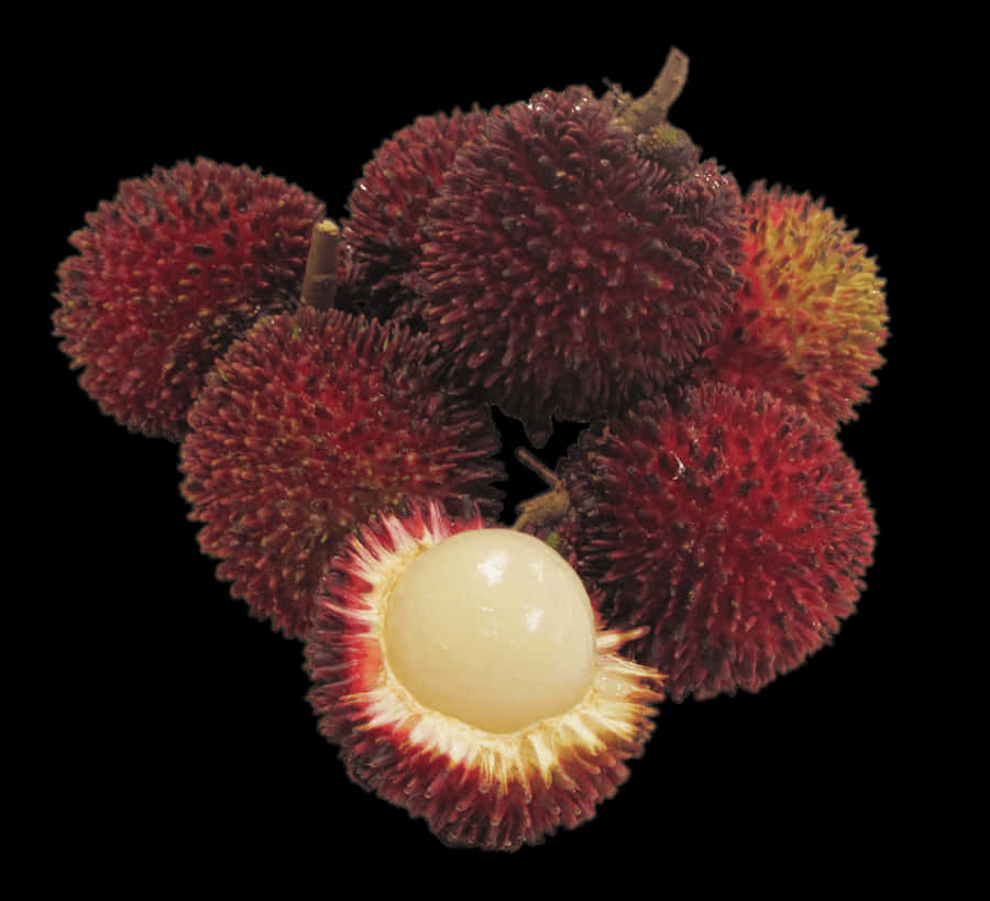 Fresh And Meaty Pulasan Fruits Wallpaper
