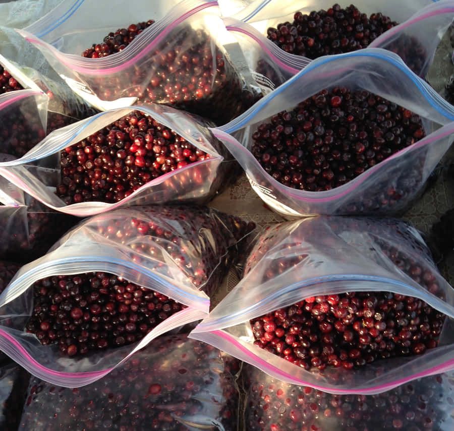 Fresh Huckleberriesin Bags Wallpaper