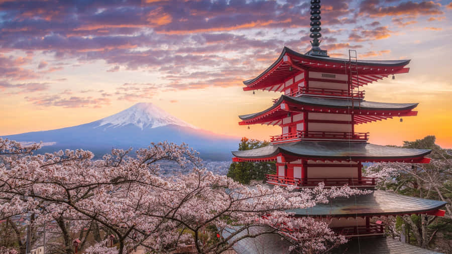 Fuji Peak With Chureito Pagoda And Cherry Blossoms Wallpaper