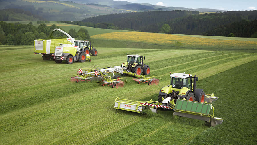 Fulfilling Agriculture Dreams One Plant At A Time Wallpaper