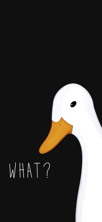 Funny Goose Saying What Wallpaper