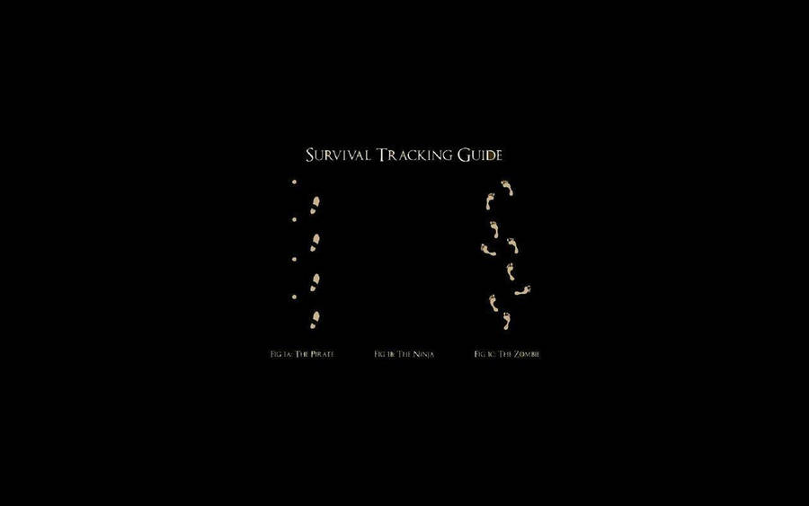 Funny Laptop Survival Tracking Guide Wallpaper