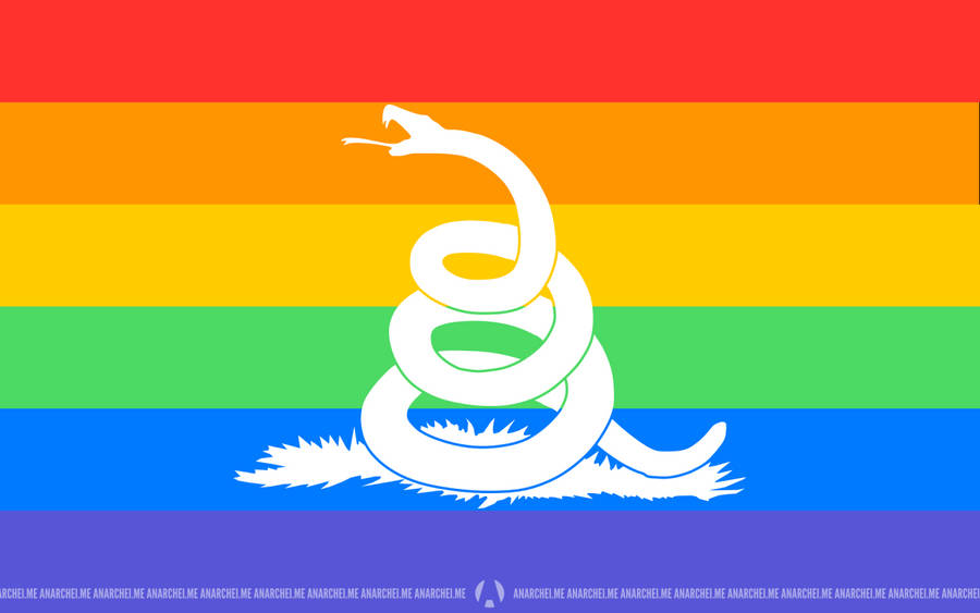 Gadsden Flag Lgbtqia++ Design Wallpaper