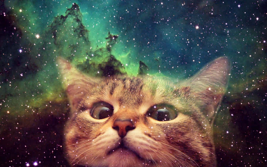 Galaxy Cute Cat Face Wallpaper