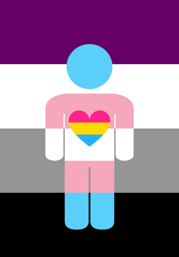 Genders Asexual Pansexual And Trans Wallpaper
