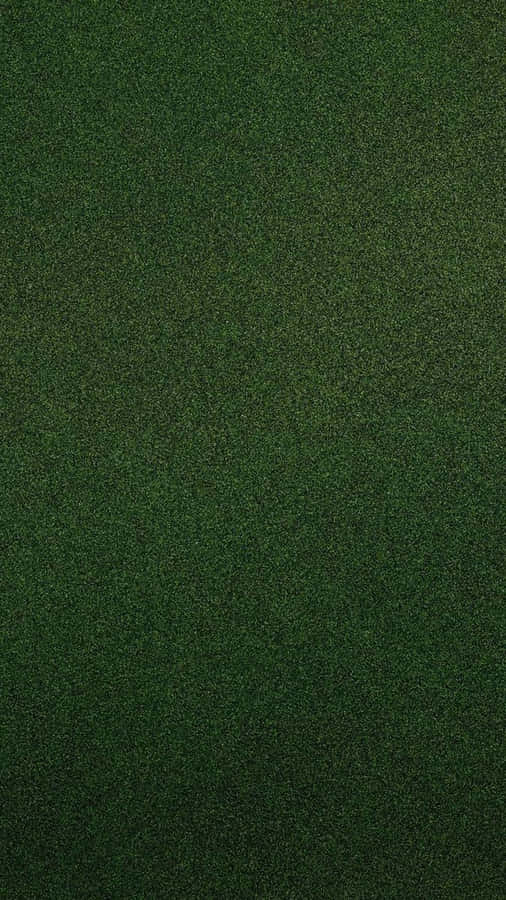 Get Lost In The Emerald Sheen Of The Olive Green Iphone. Wallpaper