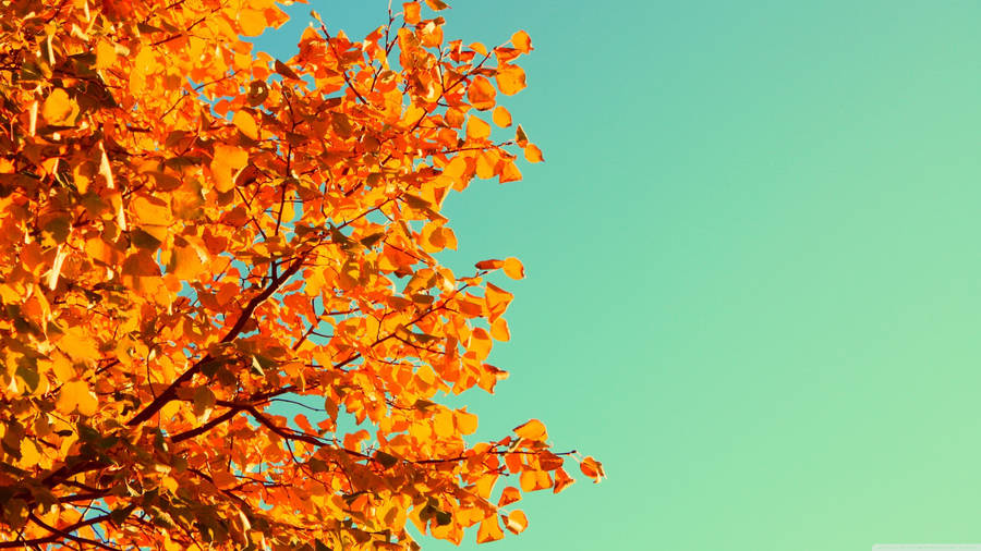 Get Ready For Autumn With This Cute October Scene Wallpaper