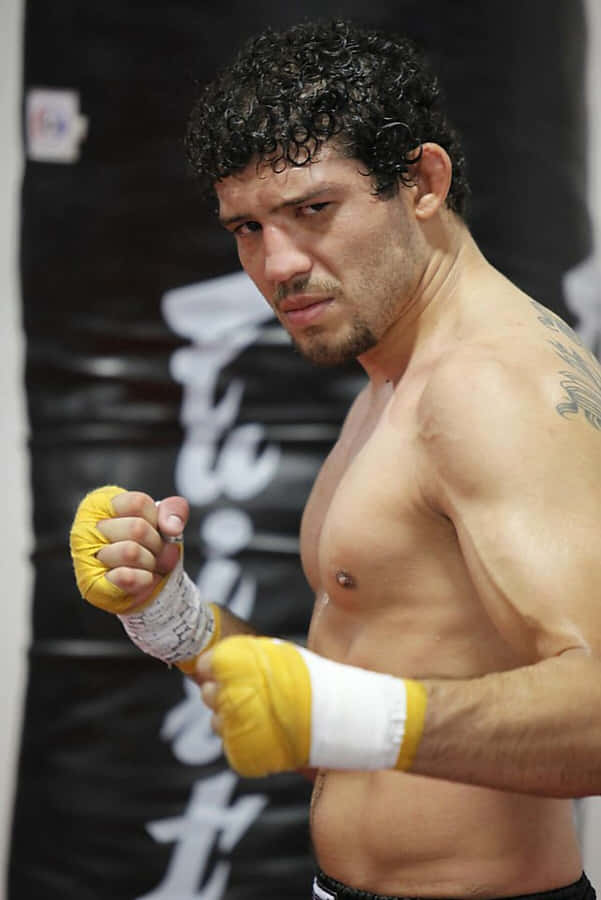 Gilbert Melendez Mixed Martial Arts Champion Wallpaper