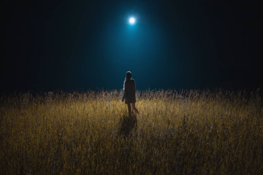 Girl On Grassy Field Moonlight 4k Wallpaper
