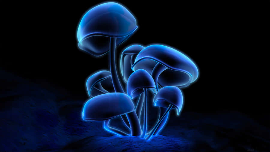 Glowing Blue Mushrooms Artwork Wallpaper