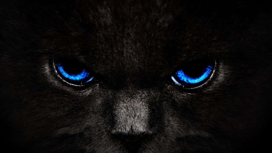 Glowing Cat Eyes Wallpaper