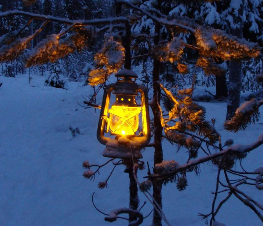 Glowing Lamp On Cozy Winter Day Wallpaper