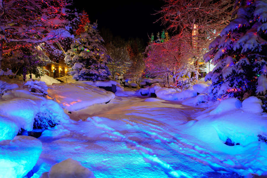 Glowing Winter Wonderland Desktop Wallpaper