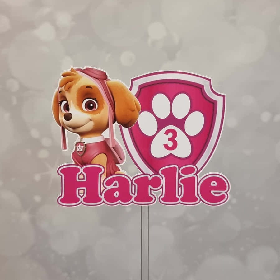 Go Go Into The Skies With Skye, The Adventurous Pup Of The Paw Patrol! Wallpaper