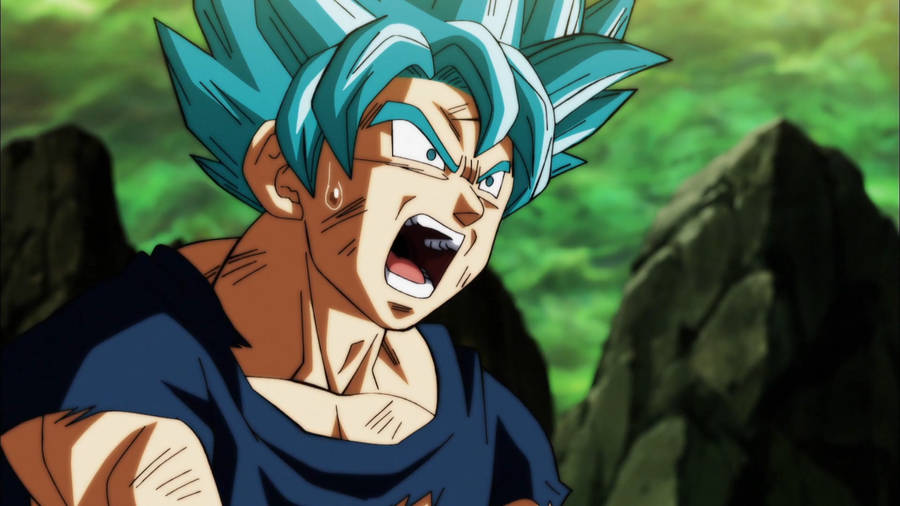 Goku Super Saiyan Dragon Ball Super Wallpaper
