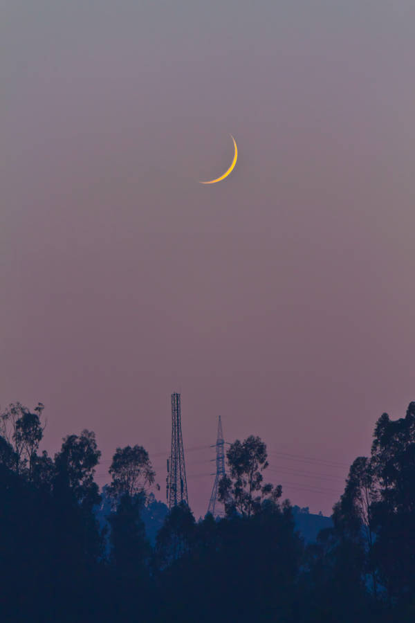 Golden Crescent Moon Wallpaper