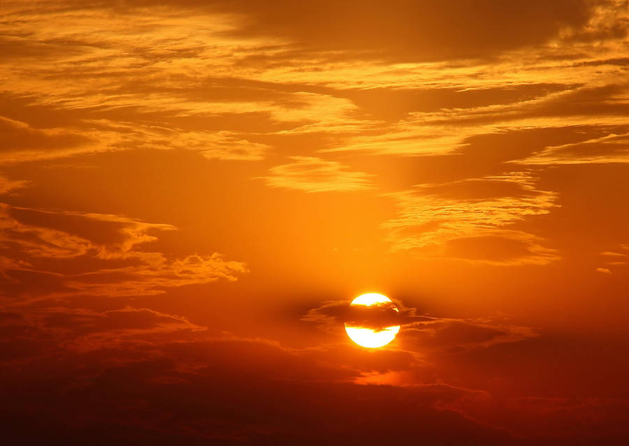Golden Orange Sun Wallpaper