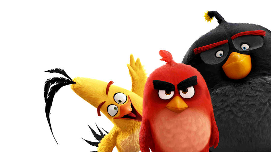Goofy Trio From The Angry Birds Movie Wallpaper