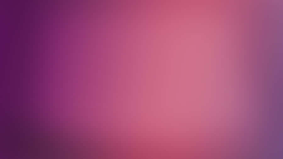 Gradient Solid Purple And Pink Wallpaper