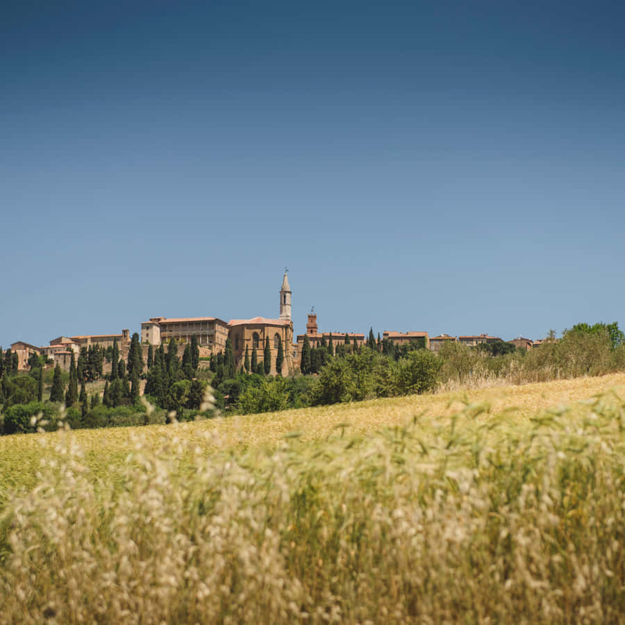 Grass Field With Pienza Town Long Shot Wallpaper