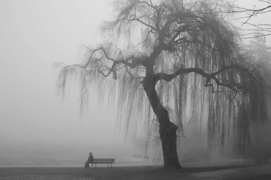 Gray Aesthetic Sad Park Bench Wallpaper