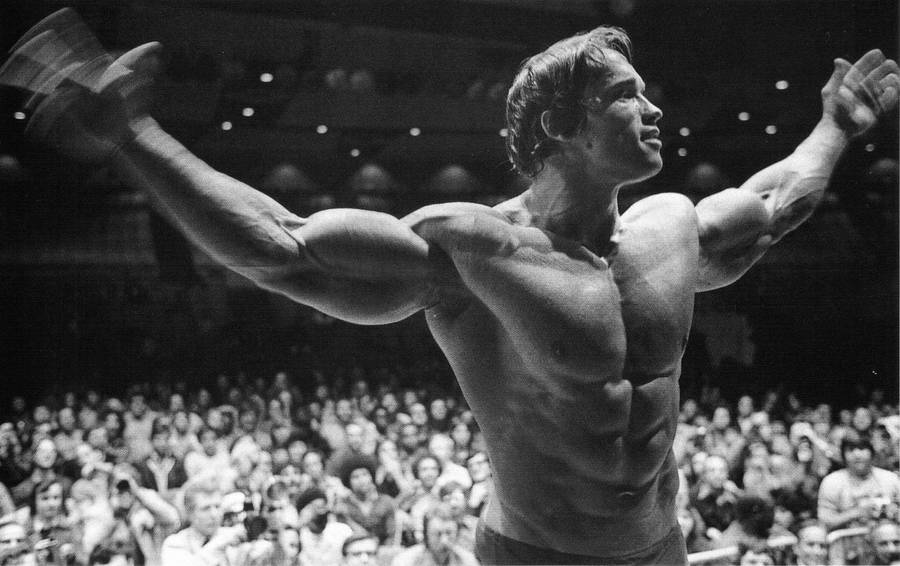 Grayscale Celebrity Fame Arnold Schwarzenegger Wallpaper