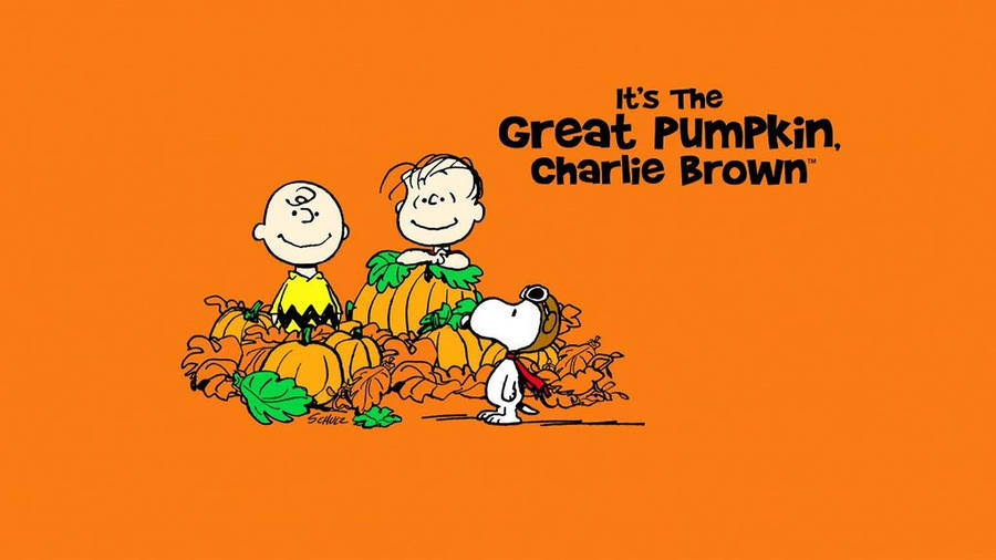 Great Pumpkin Charlie Brown Wallpaper