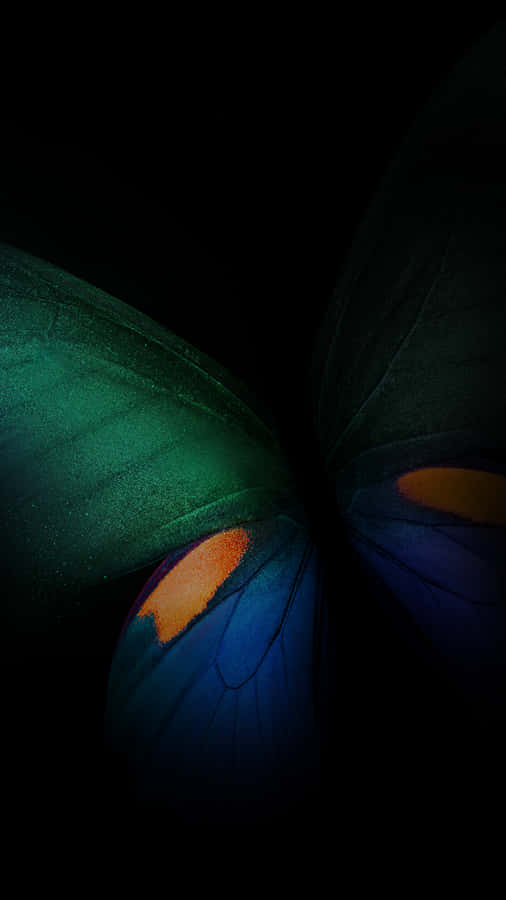 Green Butterfly Black Background Iphone Wallpaper
