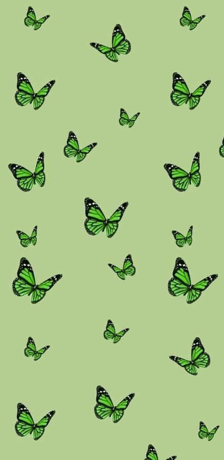 Green Butterfly Flying Around Wallpaper