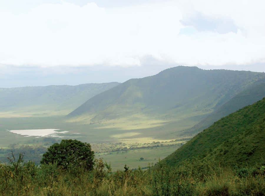 Green Field Scenery At The Tanzania Ngorongoro Crater Wallpaper