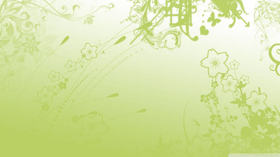 Green Floral Minimal Wallpaper
