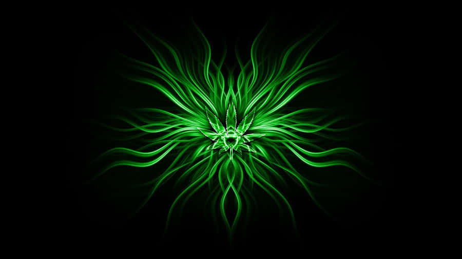 Green Fractal Art Wallpaper Wallpaper