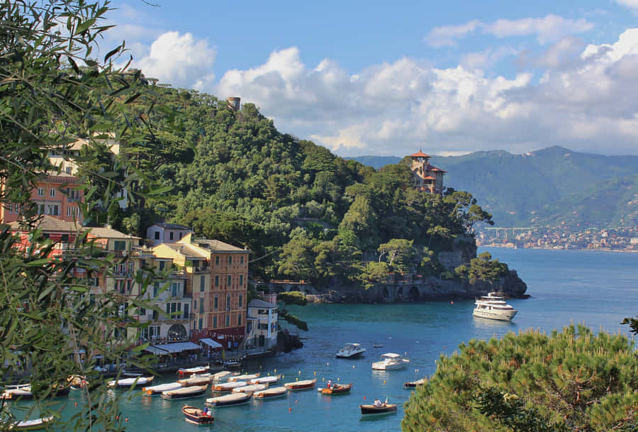 Green Mountain Forest In Portofino Italy Wallpaper
