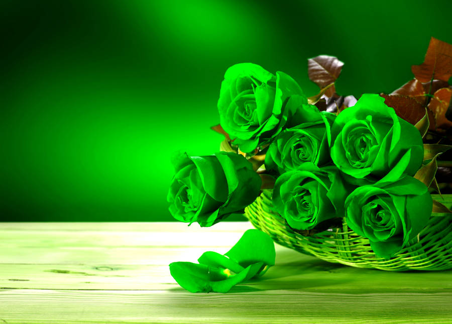 Green Roses Basket Wallpaper