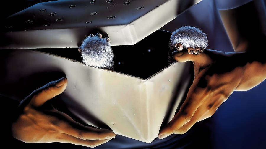 Gremlins 1984 Movie Scene Wallpaper