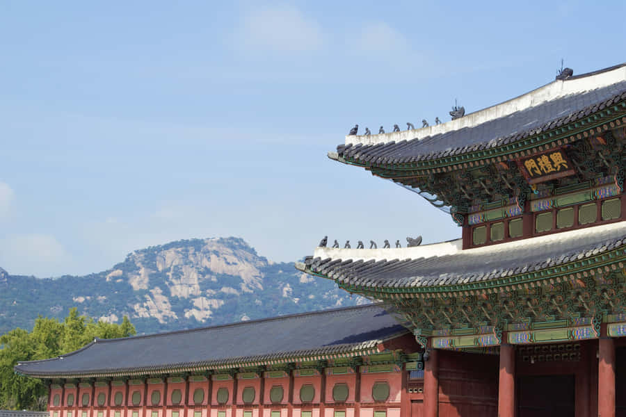 Gwanghwamun Gate Of Gyeongbokgung Palace Wallpaper