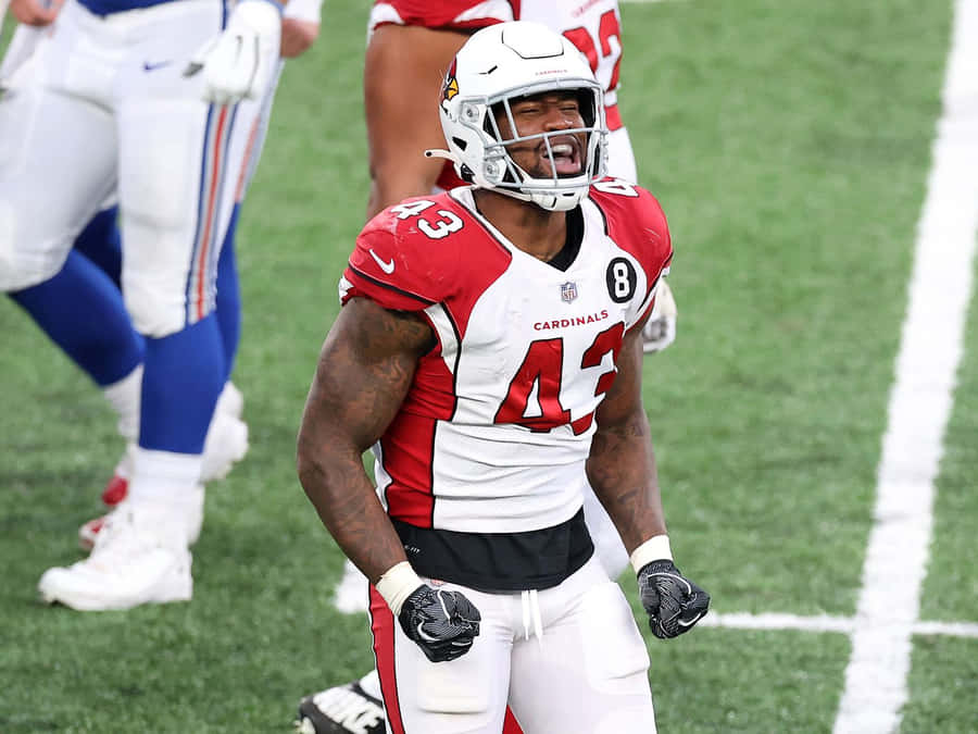 Haason Reddick National Football League Wallpaper