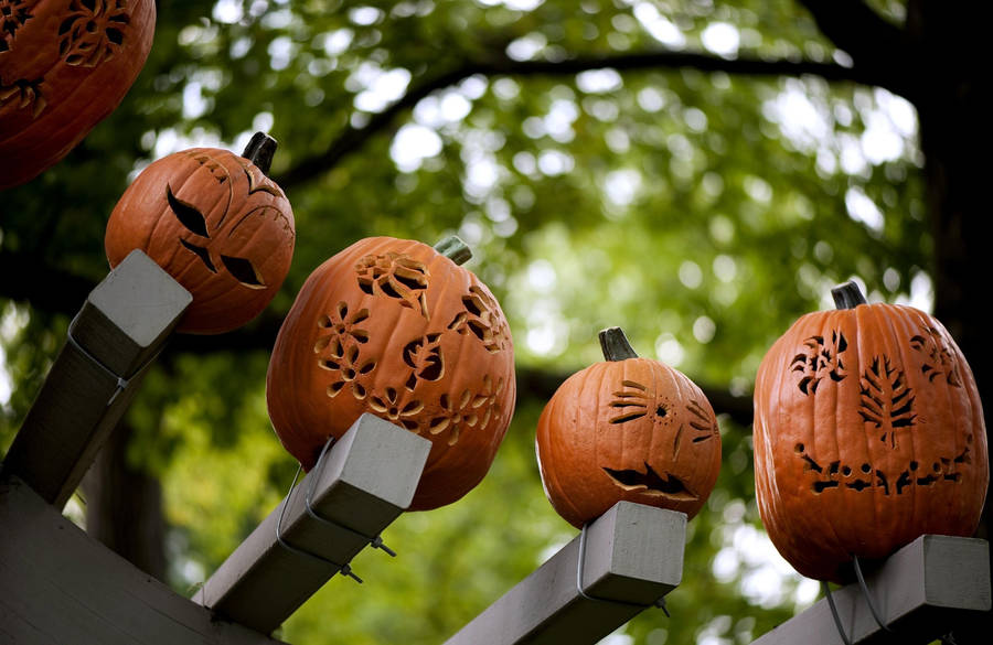 Halloween Decoration Pumpkin Faces Wallpaper