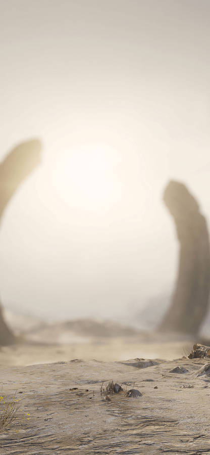 Halo Infinite Zeta Halo Wallpaper