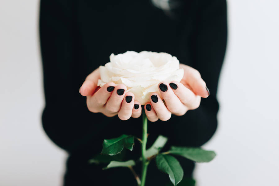 Hands Holding White Rose Aesthetic Phone Wallpaper