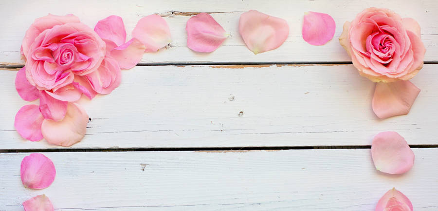 Happy Birthday Flowers Borders Wallpaper