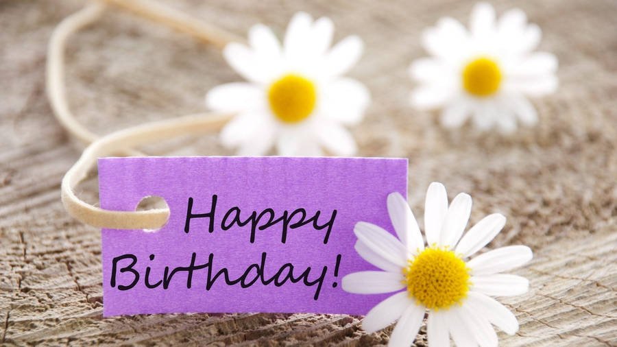 Happy Birthday Flowers White Daisies Wallpaper