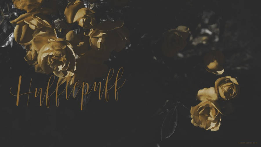 Harry Potter Aesthetic Hufflepuff Wallpaper