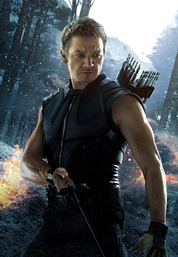 Hawkeye Age Of Ultron Wallpaper