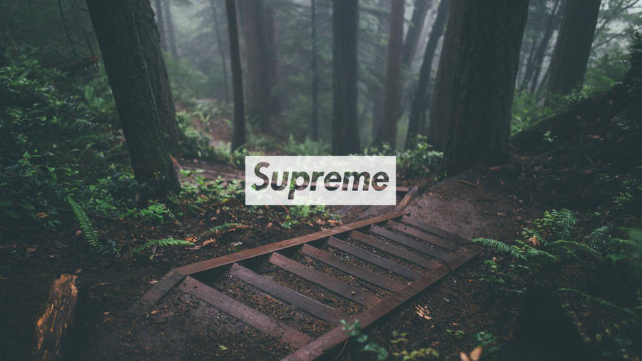 Hd Aesthetic Hypebeast Wallpaper