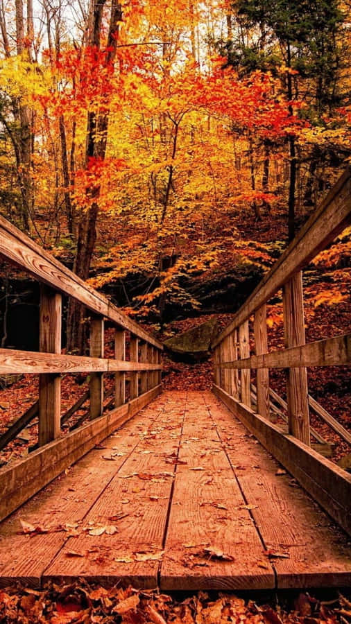 Hd Autumn Wooden Bridge Wallpaper