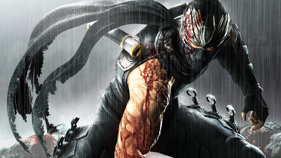 Hd Video Game Ninja Gaiden Wallpaper