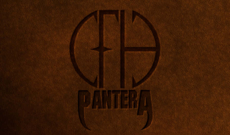 Heavy Metal Band, Pantera, In Performance Wallpaper