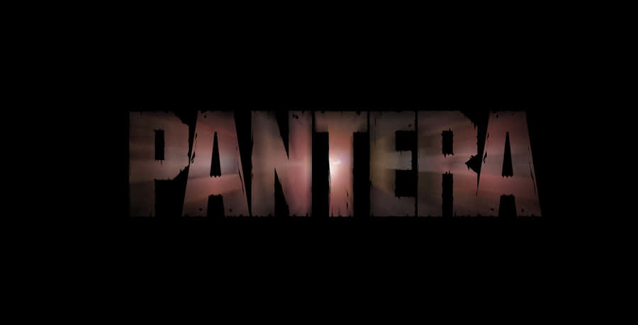 Heavy Metal Band Pantera Rocking The Stage Wallpaper