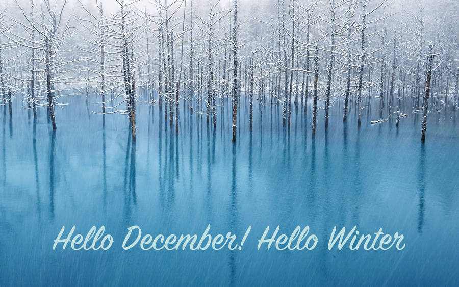 Hello December Hello Winter Wallpaper